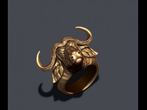 Buffalo ring 3D Baskı Modeli