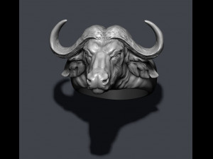 Buffalo ring 3D Baskı Modeli