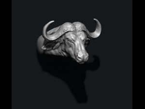 Buffalo ring 3D Baskı Modeli