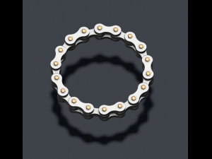 Bicycle chain ring Modèles 3D en vedette