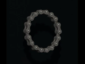 Bicycle chain ring 3D Print Model
