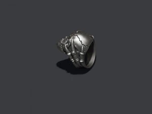 Skull ring with claws 3D Print Model