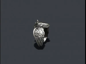 Pegasus ring 3D Print Model