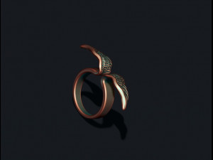 Wings ring 3Dプリントモデル