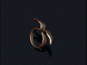 Wings ring 3D Print Model