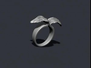 Wings ring 3D Print Model