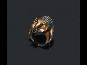 Elephant ring 3D 프린트 모델