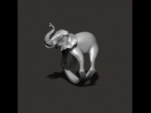 Elephant ring 3D Print Model