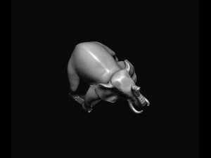 Elephant ring 3Dプリントモデル
