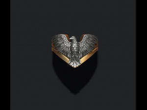 Eagle ring Modèles 3D en vedette
