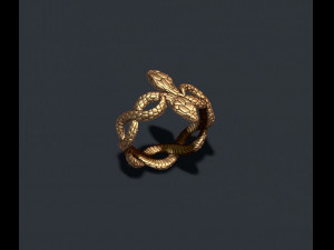 Snake ring Modello di stampa 3D