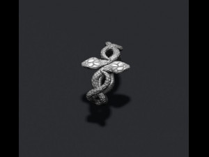 Snake ring Modello di stampa 3D