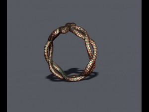 Snake ring Modello di stampa 3D