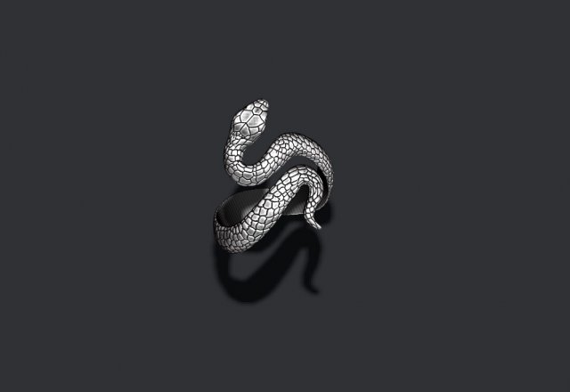 Snake ring 3D Принт Модель .c4d .max .obj .3ds .fbx .stl .blend 