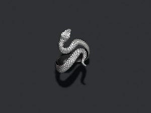 Snake ring 3D Print Model