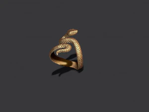 Snake ring 3D Print Model