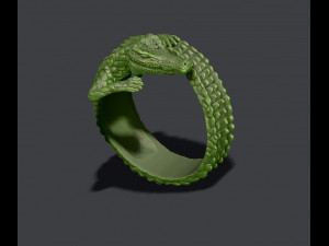 Crocodile ring 3D Baskı Modeli