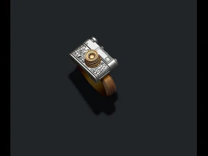 Photo camera ring 3D Print Model