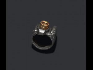 photo camera ring 3D Print Model