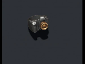 Photo camera ring 3D Print Model