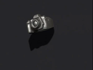 Photo camera ring 3D Print Model