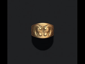 Horse ring 3D Print Model