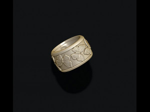 Butterfly ring Modèles 3D en vedette