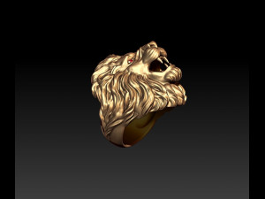 Lion ring eye gem 3D 打印模型