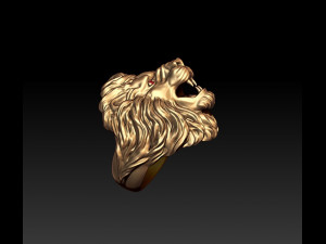Lion ring eye gem 3D 打印模型