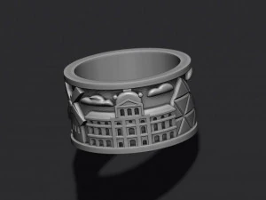 France ring 3D Print Model