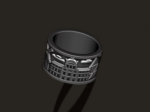 France ring 3Dプリントモデル