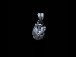 Petrified heart pendant 3D प्रिंट मॉडल