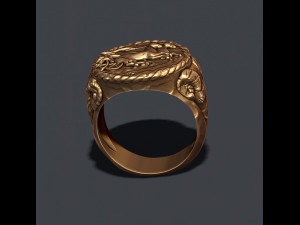Old coin ring v2 Modelo de Impressão 3D