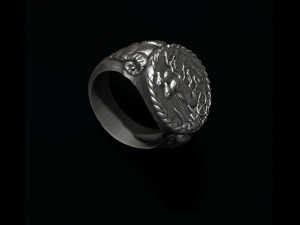 Old coin ring v2 Modelo de Impressão 3D