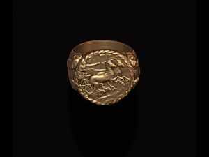 Old coin ring v2 Modelo de Impressão 3D