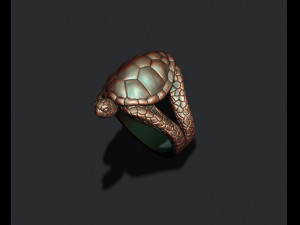 Turtle ring Modèles 3D en vedette