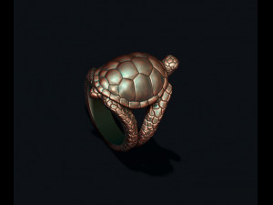 Turtle ring Modèles 3D en vedette