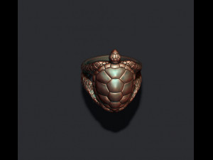 Turtle ring Modèles 3D en vedette