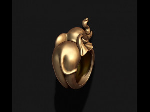 Elephant ring Modèles 3D en vedette