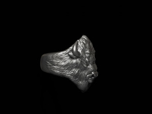 Buffalo ring 3D 打印模型
