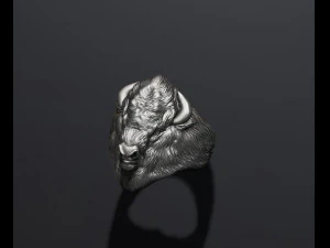 Buffalo ring 3D Print Model