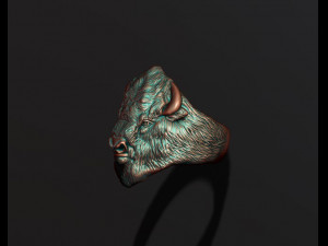 Buffalo ring 3D 打印模型