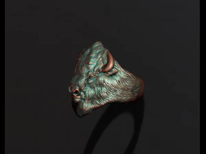 Buffalo ring 3D Print Model