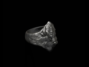 Buffalo ring 3D 打印模型