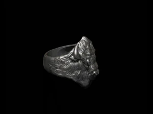 Buffalo ring 3D Print Model
