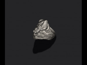 Buffalo ring 3D 打印模型