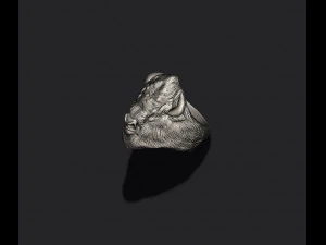 Buffalo ring 3D Print Model