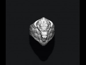 Buffalo ring 3D 打印模型