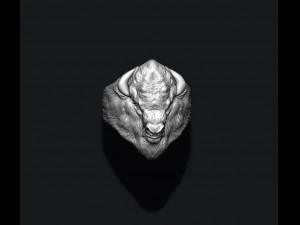 Buffalo ring 3D Print Model