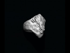 Buffalo ring 3D 打印模型